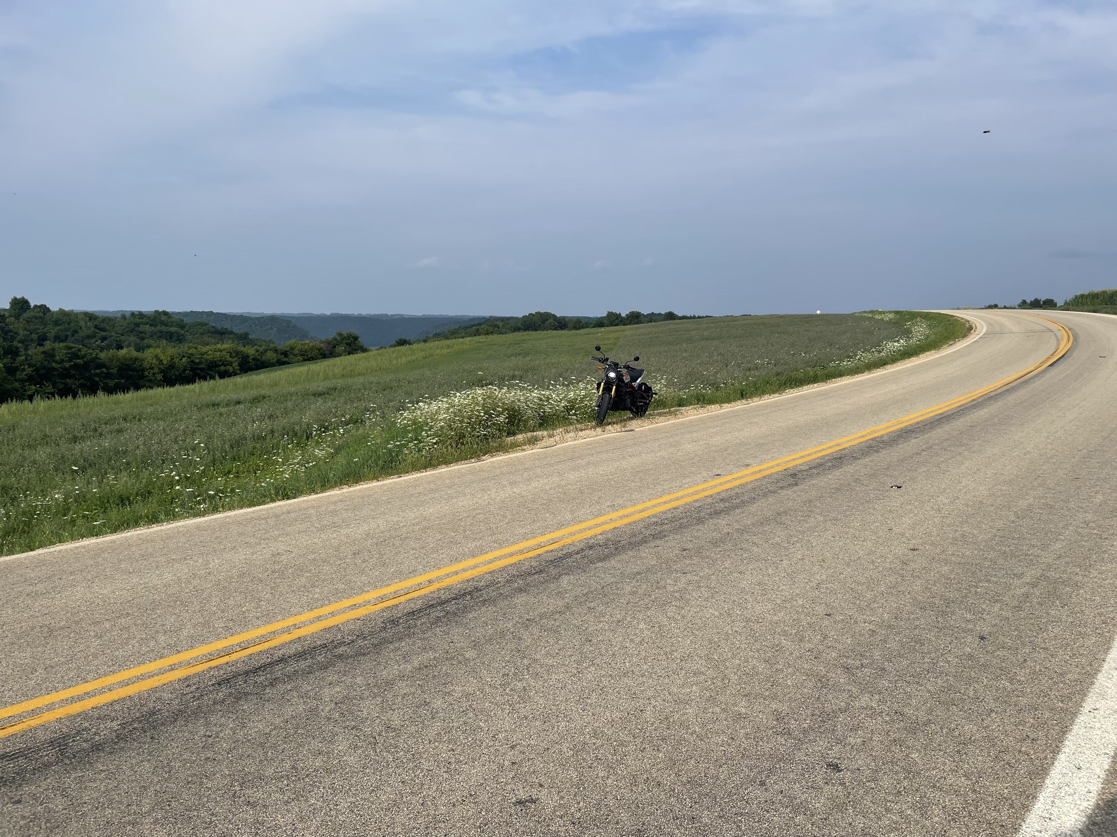 Near Houston, MN 8/23